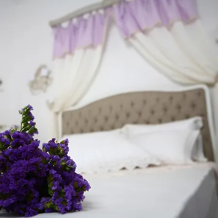 Hotel Hane Boutique 3*